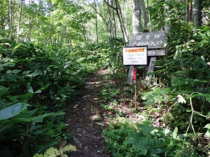 山頂からの様子。遠くに無意根山、札幌岳などが展望できます