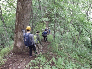 下山の様子