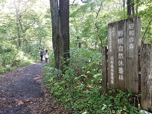 大沢口の様子