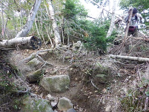 歩道が分かりにくいところがありました