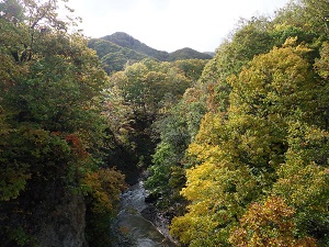 小天狗岳へ向かう途中の時雨橋からの様子