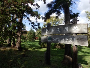 野幌自然休養林