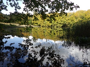 原の池の全景