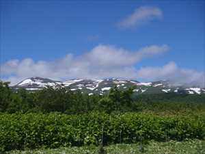 雪残る狩場山