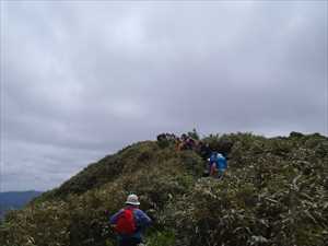 黒松内岳山頂