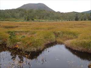 神仙沼湿原とチセヌプリ