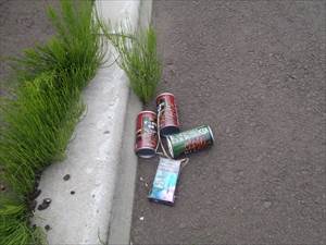 道路脇の草むらに、空き缶やタバコの吸い殻、空き箱などが捨てられていました。