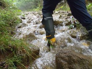 この辺りの山には多くの雨が降ったらしく、歩道はまるで川のようでした。