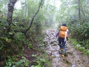 この辺りの山には多くの雨が降ったらしく、歩道はまるで川のようでした。