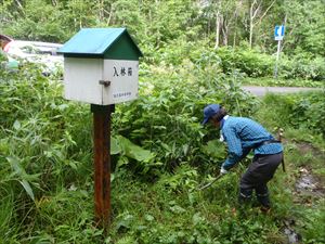 鏡沼歩道の入口にある入林箱周りの下草を刈り込みました。