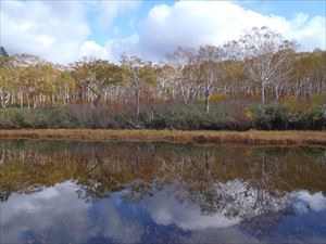 本日は風が無く、池塘の水面は鏡のようでした。