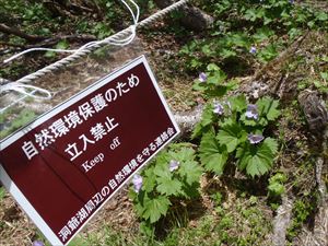 注意喚起の看板を取り付け