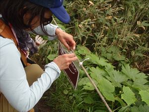 踏み荒らし防止のロープのたるみや看板を手直ししながら山頂に向かいました。