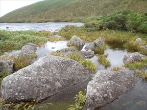 19日現在、シャクナゲ沼は雨によって増水しています。