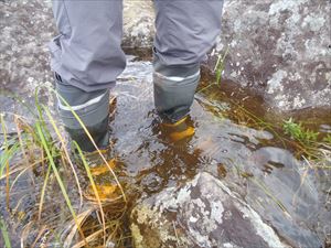 深い所で膝下位まで水に浸かります。