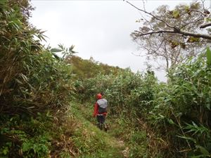 長沼～シャクナゲ沼の歩道