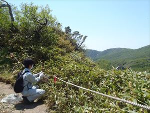 崖などの危険箇所にも設置しました。