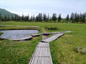 本日は、神仙沼と長沼の巡視を行いました