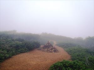 生憎の天気で人はいませんでしたが、鹿の足跡はたくさんありました。