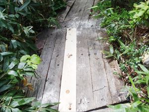 神仙沼では木道の補修工事が始まりました。