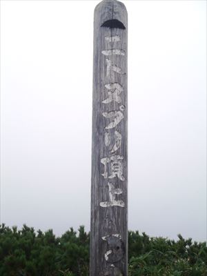 麓から雲の中で景色は何も見えませんでしたが、山頂標識の補修を行いました。