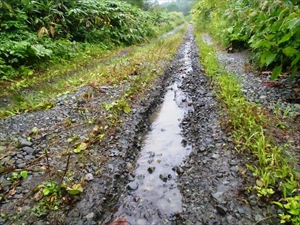 松内岳入口へ向かう町道が洗掘され、8月22日から通行止め