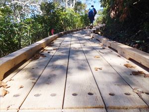 神仙沼の木道迂回路改修工事が終わり、通行出来るようになりました。