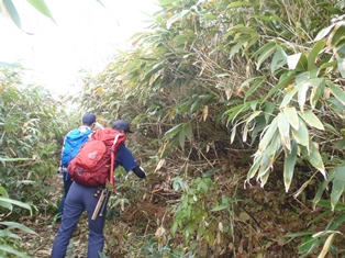 笹が歩道に覆い被さってきている所が多くあった為、鉈で笹苅をしながらの登山でした。