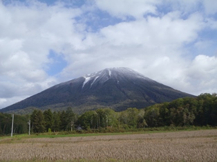 羊蹄山、初冠雪です。