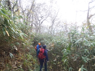 笹が歩道に覆い被さってきている所が多くあった為、鉈で笹苅をしながらの登山でした。