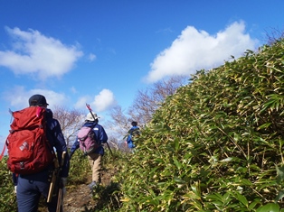 本日は、令和4年6月9日に「オロフレ山開き」で踏み荒らし防止等の目的で設置したロープと鉄杭を、オロフレ山自然環境保全連絡会のみなさんと回収してきました。