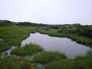 チセヌプリ山頂の火口内には二つの沼とその周囲には湿原が広がっていて、三角沼と呼ばれています。