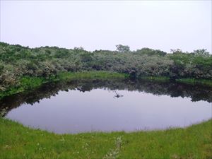 チセヌプリ山頂の火口内には二つの沼とその周囲には湿原が広がっていて、三角沼と呼ばれています。