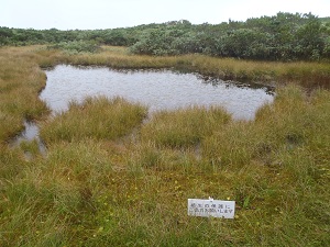 山頂の三角沼。