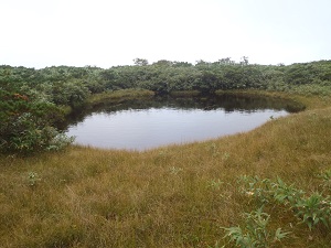 山頂の三角沼。