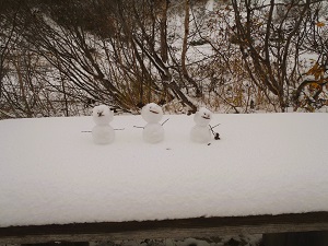 雪で歩道も分かりづらくなっています。