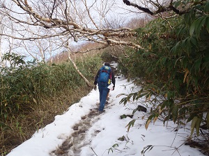 山頂部は雪