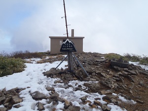 山頂部は雪が