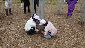 ネットを張る子供達の様子