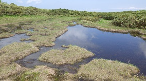三角沼