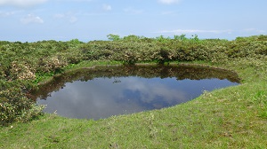 三角沼