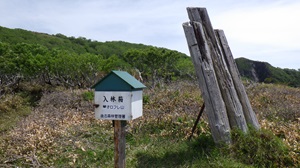 設置した入林箱