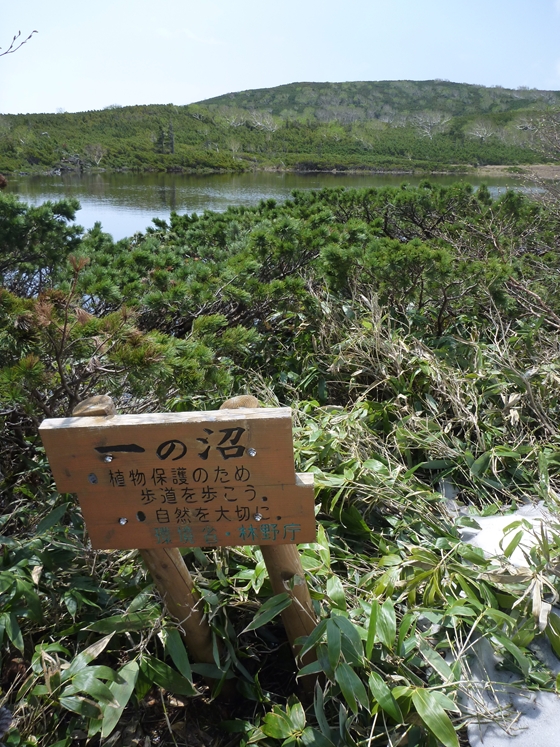 雪原から姿を見せた1の沼