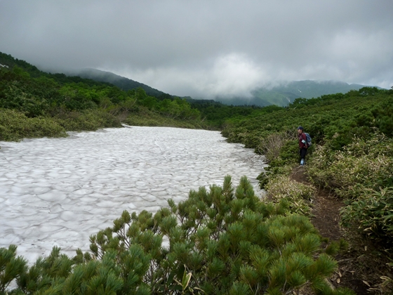 涸れ沢の雪渓では登山道が全て露出