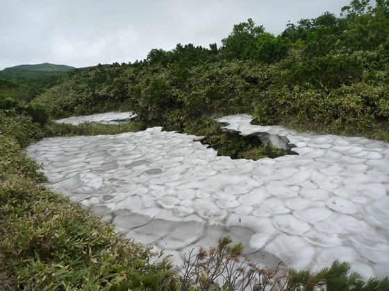 雪渓部分は薄くなっている所もあり大変危険