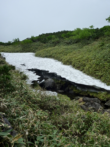 枯れ沢の雪渓