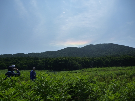 山の上に変わった形の虹