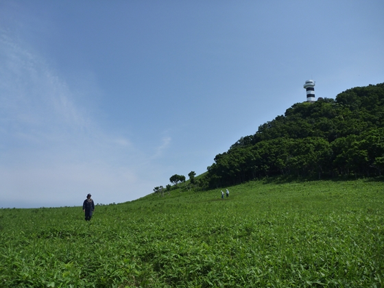 灯台からは船着き場を目指し、海岸線を歩く