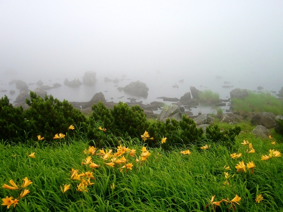 二つ池は天の池と地の池とで二つ池となっていますが、こちらは地の池