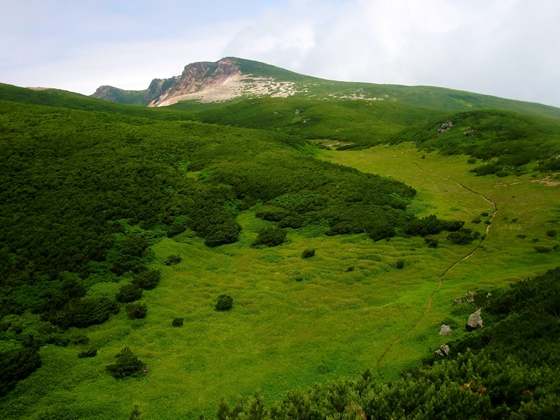 奥の山は東岳。手前に登山道がくっきり見えているところは知円別平です